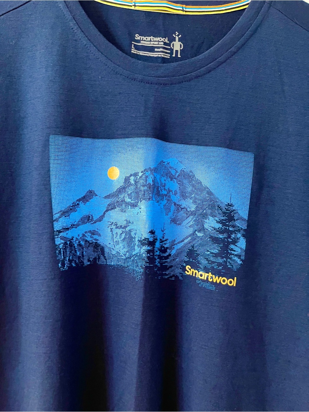 LIKE NEW SmartWool SS Crew Tee